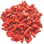 plod goji